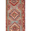 Willo Oriental Area Rug in Blue