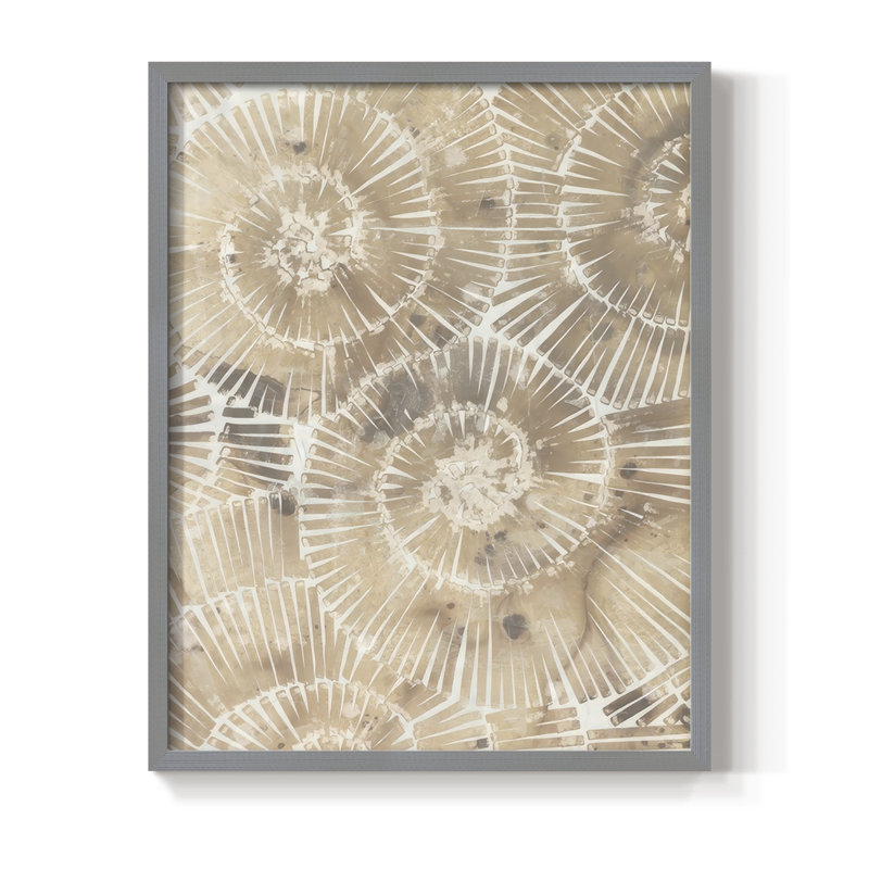 Fossil Nautilus I, reproduction encadrée - bois massif, H 11 po x l 9 po, Gris