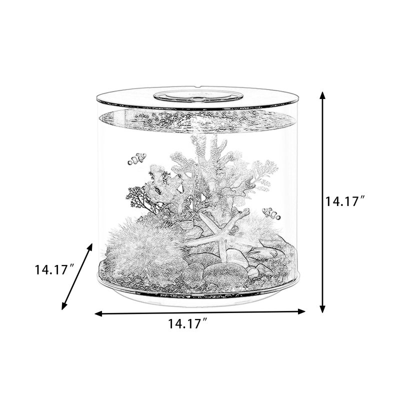 Acrylic Desktop Fish Tank