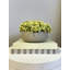 Sedum Arrangement in Fiberstone Pot-736966111
