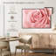 Rose rose fraîche-6702330-6702324