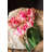 Tulip Arrangement-165102853
