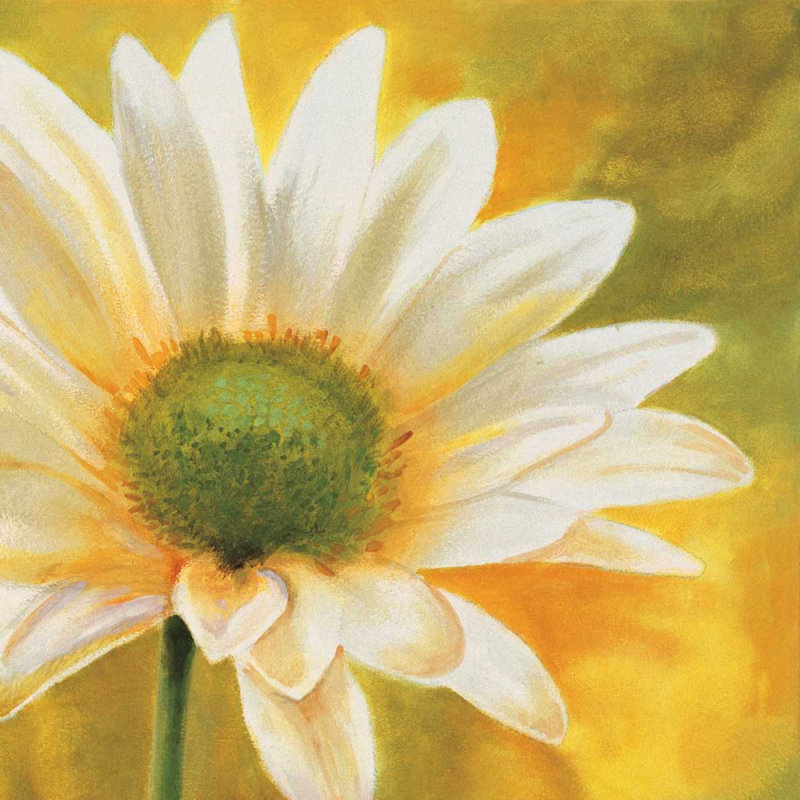" Marguerites Dans Le Soleil 3 " by Pierre Viollet Painting Print