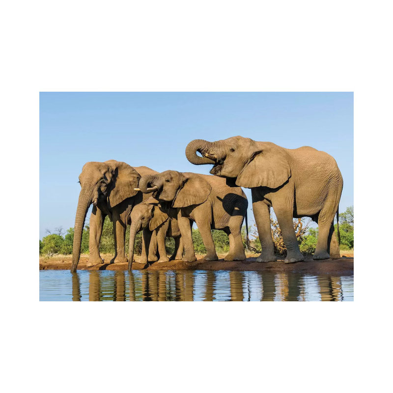View Of Elephant Family At Water Hole, Botswana, Africa - Wrapped Canvas Print, 66.04 cm H x 45.72 cm W x 3.175 cm D
