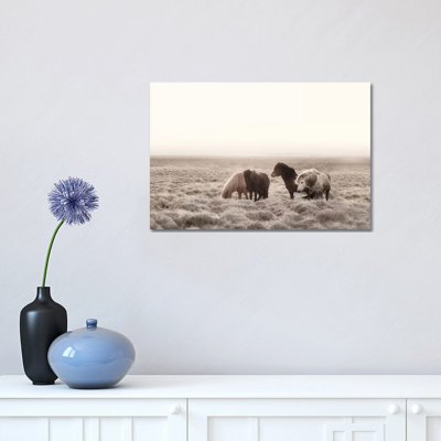 Iceland Wild Horses I 1 Piece Wrapped Canvas Wall Art