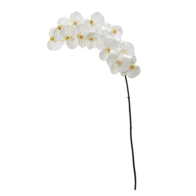 Fir Arrangement