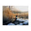 «Pheasant» par Armstrong, impression sur toile tendue-27646185