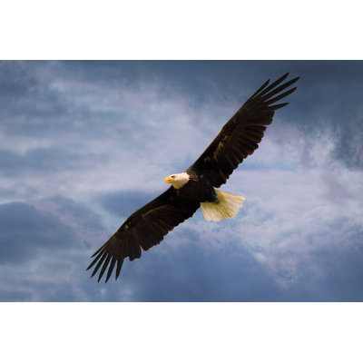 American American par Hypotekyfidler - photographie sur toile tendue