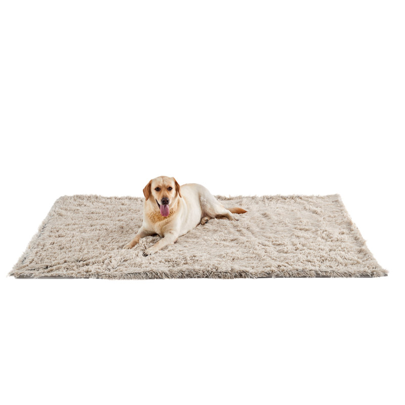 Large Taupe Orthopedic Waterproof Shag Dog Blanket