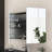 Rectangular Medicine Cabinet With Mirror-472549749