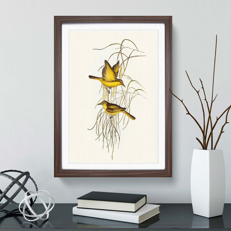 Yellow Honeyeaters by Elizabeth Gould - Picture Frame Painting Print, Walnut Framed, 65cm H x 48cm W x 2cm D