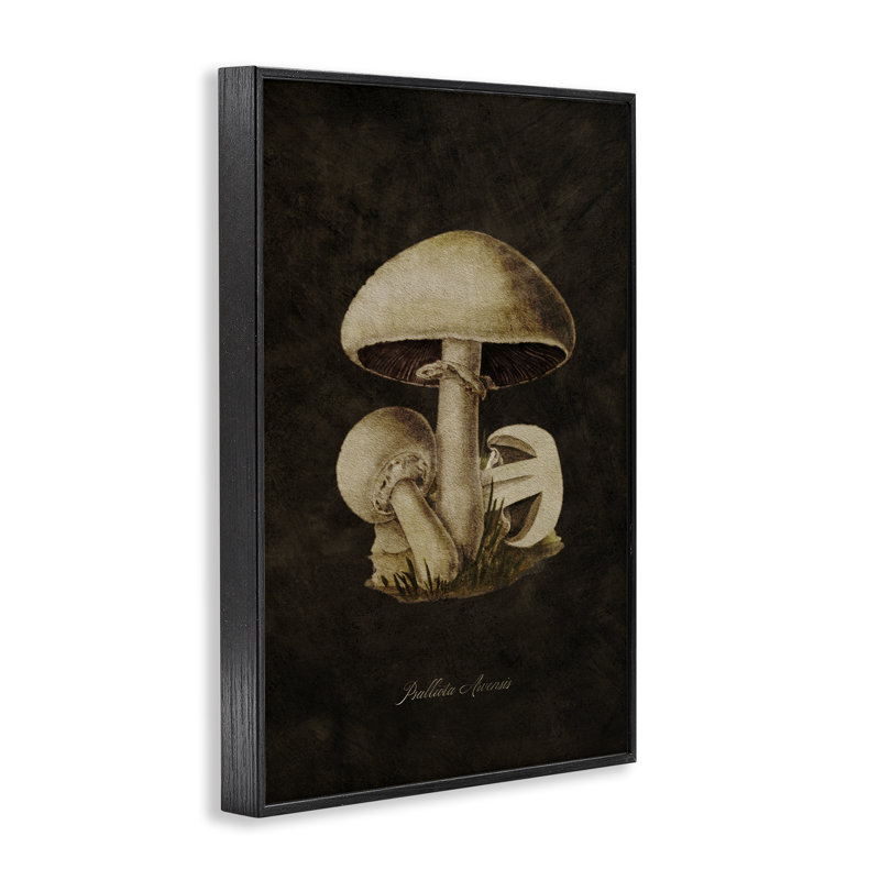 Estampe numérique Portobello par Tina Higgins Designs, Inc., H 30 po x l 20 po, Giclée encadrée noir minuit