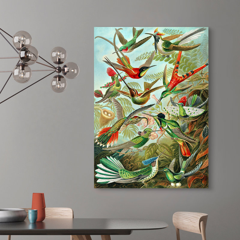 Trochilidae by Ernst Haeckel - Wrapped Canvas Art Prints, 80cm H x 60cm W x 4cm D