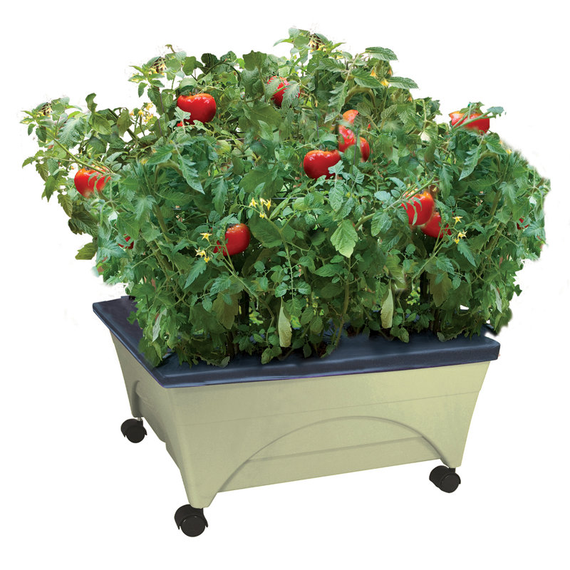 Warlick City Picker Raised Bed, Sand