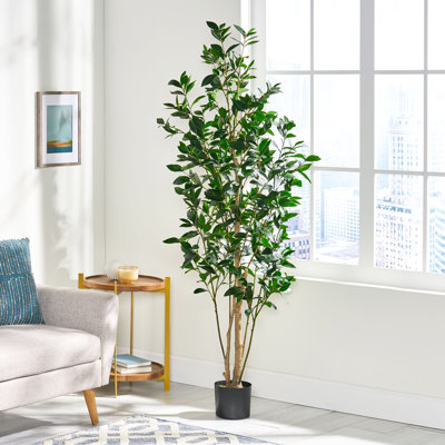 180Cm Artificial Plant - Make Your Home Greener Swiftly For Instant Attraction 24.29"D X 69.9"H 28.35"W Maintenance- Greenery Iron And Plastic Crafted Add A Glow To Space Quick Installation + No