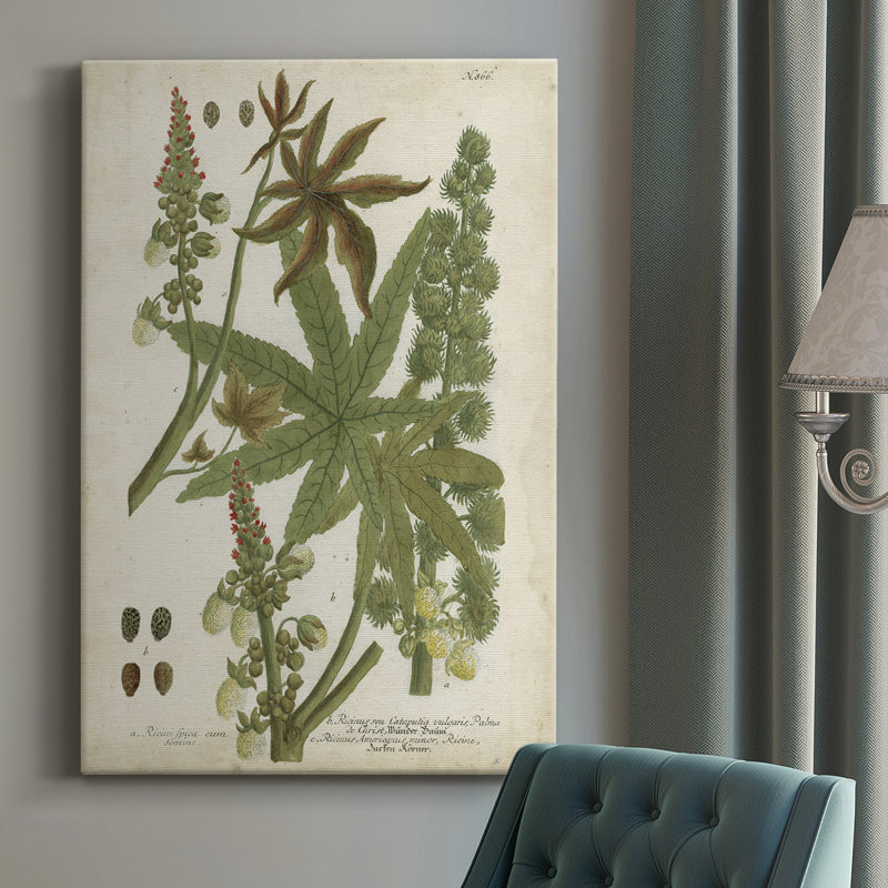Weinmann, plantes tropicales I, impression sur toile tendue, H 18 po x l 12 po x P 1 po