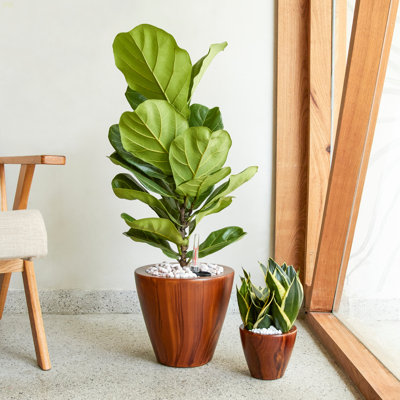 Ensemble de 2 pots à fleurs en plastique à arrosage automatique