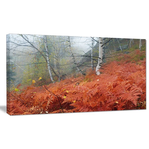 DesignArt Red Fern In Foggy Fall Fay On Canvas Print | Wayfair