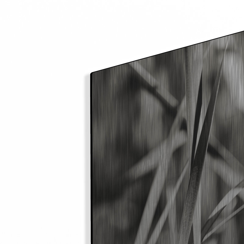 Ebern Designs «Leaves BW 01» par Tom Quartermaine, art mural en métal, H 12 po x l 12 po