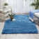 Pilipenko Indoor Rug
