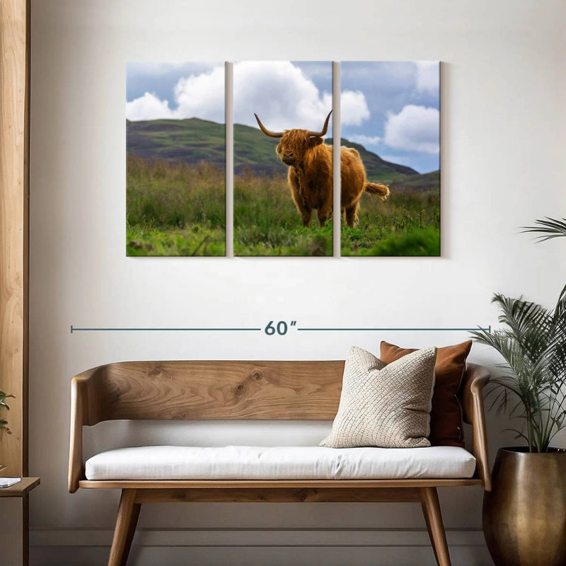 Brampt Highland Cow, Écosse, H 28 po x l 45 po