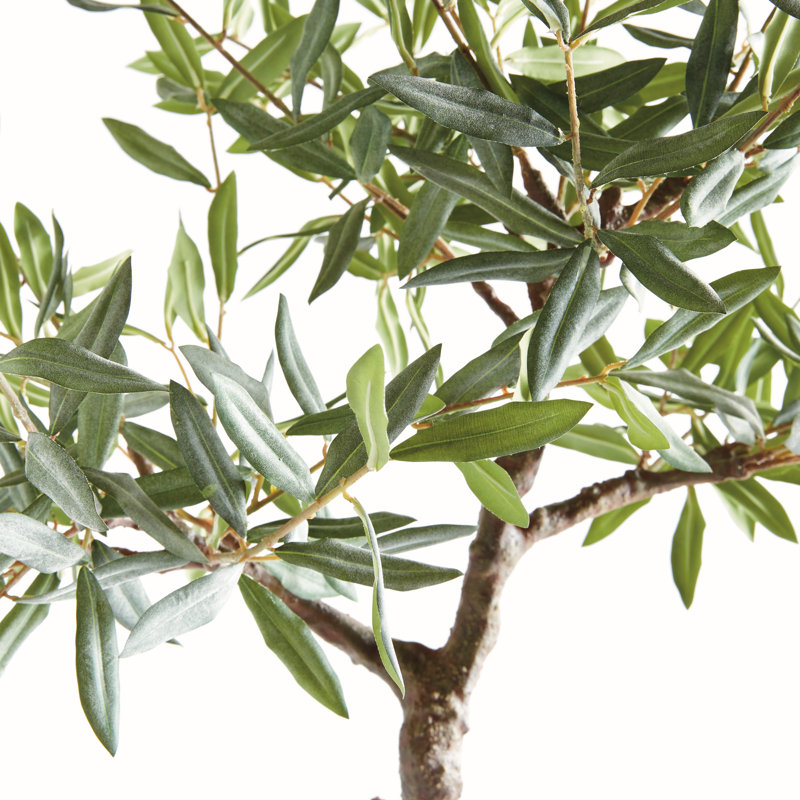 Montecito Faux Olive Tree in Pot Liner