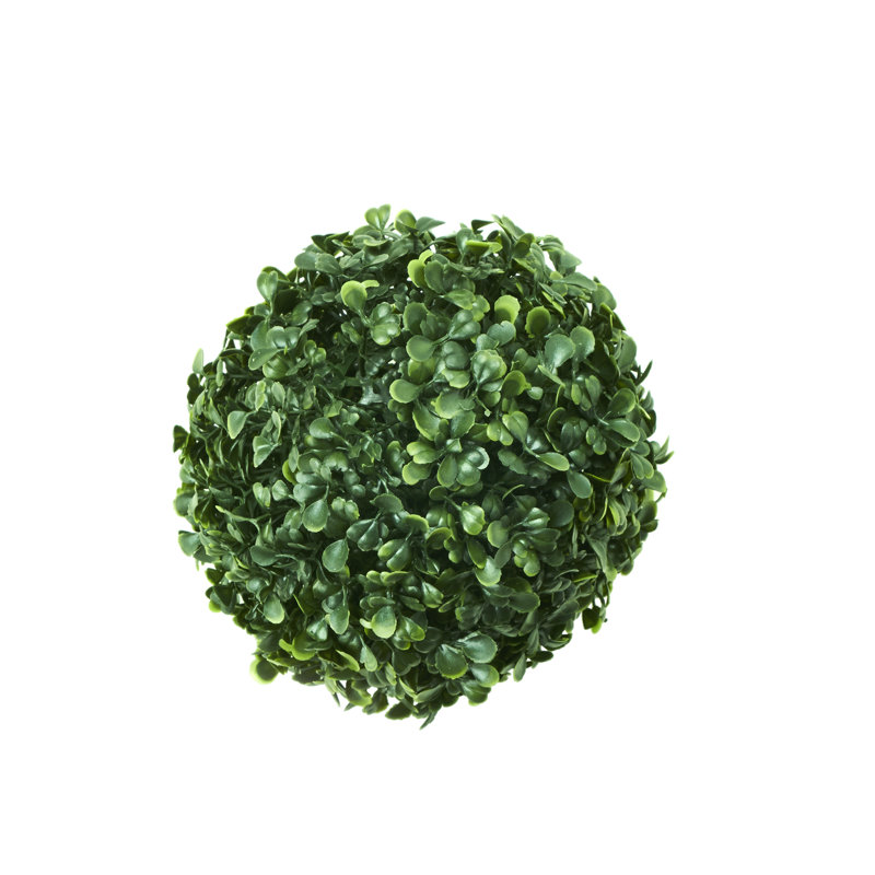 Topiaire buis ball plante, H 6 po x l 6 po x P 6 po