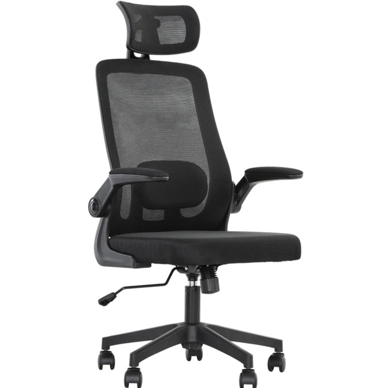 Ergonomic Desk Chair With Flip-Up Armrest,Mesh Office Chair,Rotatable Headrest, Adjustable Lumbar Support, Black, Black