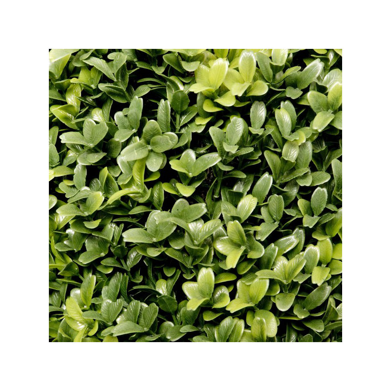 2 x Artificial Premium Quality Topiary Boxwood Ball Plants in Black Pots for Indoor Outdoor Decor, UV Stable