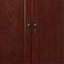 Armoire Elegant-1744370602