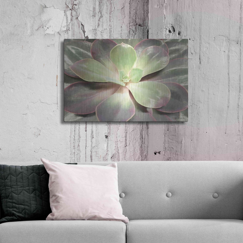 «Glowing Succulent I» par Lori Deiter, H 24 po x l 36 po