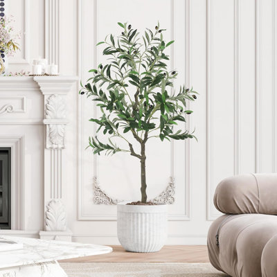 120cm Plant