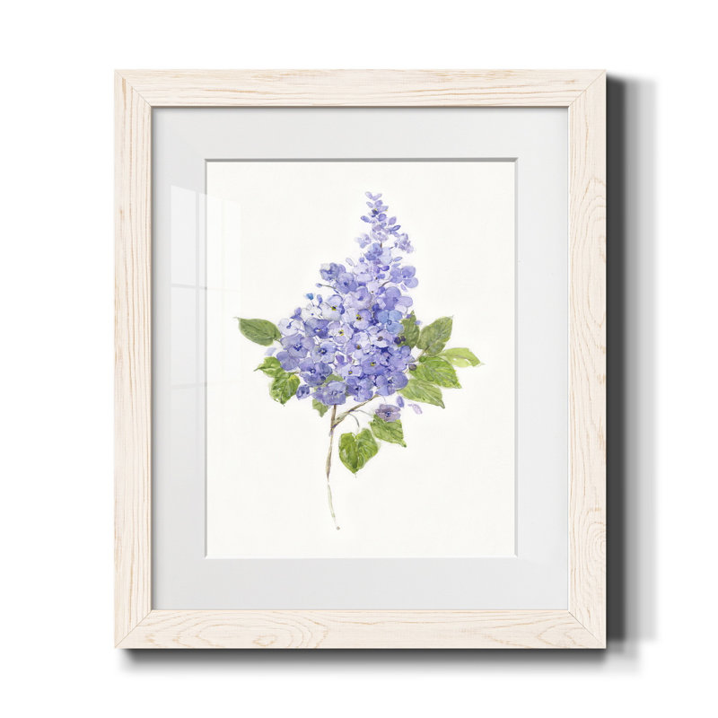 Lilas botanique délicat - impression, H 24 po x l 18 po x P 1,5 po, Blanc