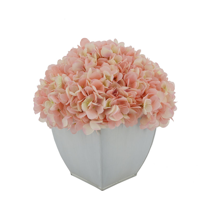 Arrangements floraux d'hortensias en pot, Rose