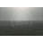 Futuristic Passage In The Meadow by Gremlin - Wrapped Canvas Print-1356546934