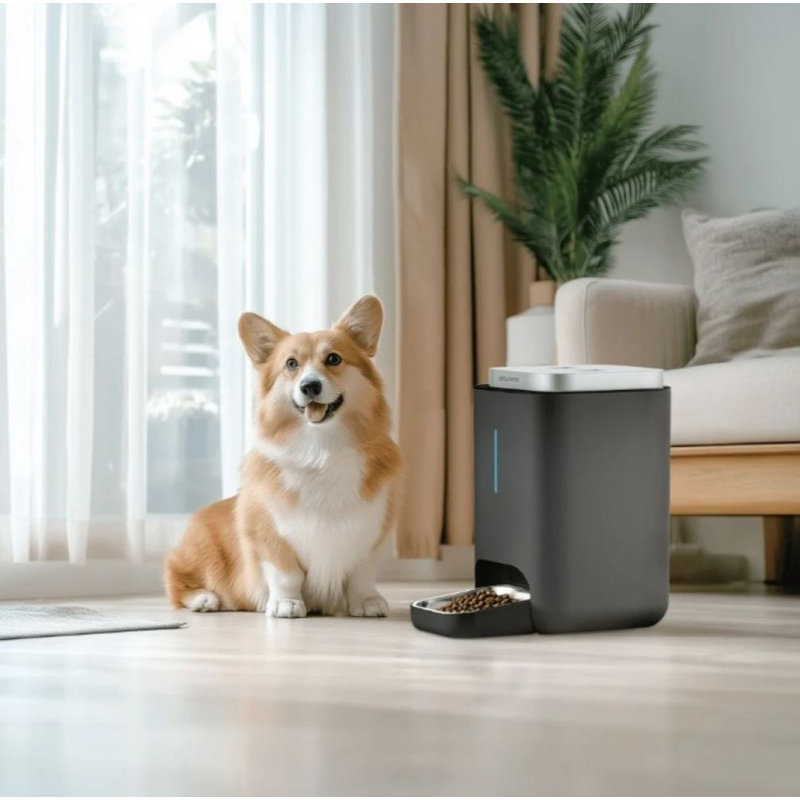 Automatic Feeder