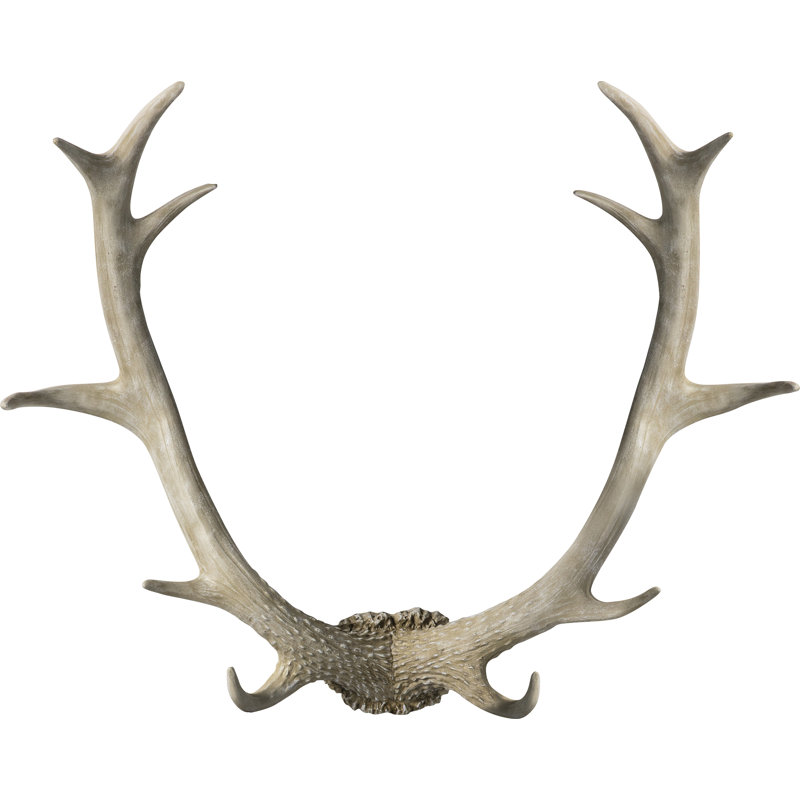 Bjorn Wall Décor