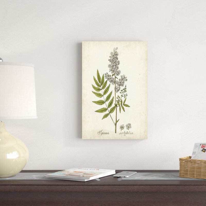 Herbe antique botanique III, H 18 po x l 12 po