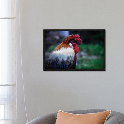 Rooster 1 Piece Wall Art on Canvas
