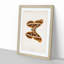 Ailanthus Silk-moth by S.F. Denton - Single Picture Frame Painting-55547757-55547762