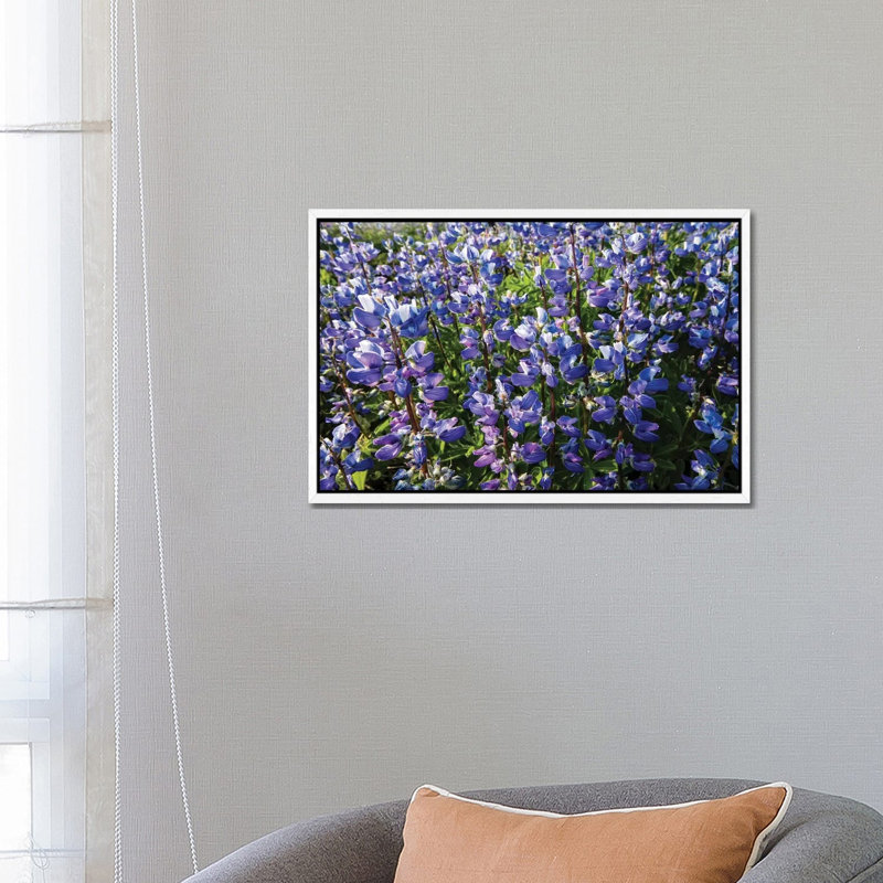 Wildflowers In A Field, Mount Rainier National Park, Washington State, USA 1 Piece Wall Art on Canvas, White Floater Frame