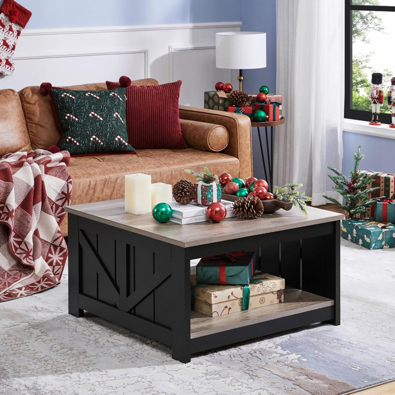 Canizales Coffee Table with Storage, Grey