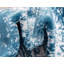 Tapis floral Brandt-25804768-132427101
