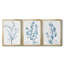 Antique Botanical In Blue VII - Ensemble de 3 peintures sur toile encadrées-2062084388-2062084389