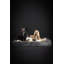 Lit pour chien Noah & Paw XL, grands lits orthopédiques pour chien, mousse à mémoire de forme coquille d'œuf imprégnée de gel rafraîchissant, imperméable, lavable à la machine, avec housse intérieure (collection Velvet)-115291414-115291415