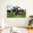 Brampt Holstein Cows-106300418
