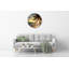 Jofiel Glass Wall Clock
