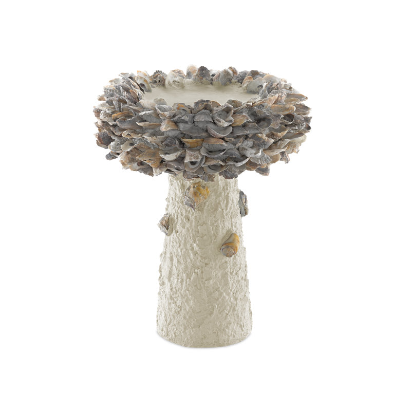 Oyster Shell Birdbath, 21.5" H x 17.5" W x 17.5" D