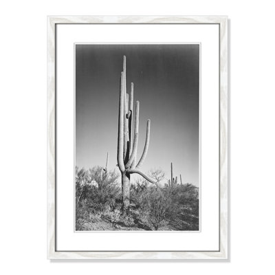 Saguaro National Monument Print by Ansel Adams