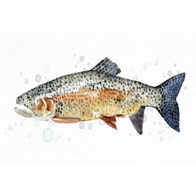«Watercolor Rainbow Trout II» par Emma Caroline - reproduction